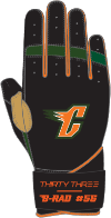 CANES CUSTOM GLOVES WINTER 24' - 33 GLOVE AND SUPPLY CO. - BATTING GLOVES