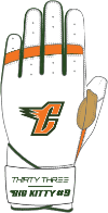 CANES CUSTOM GLOVES WINTER 24' - 33 GLOVE AND SUPPLY CO. - BATTING GLOVES